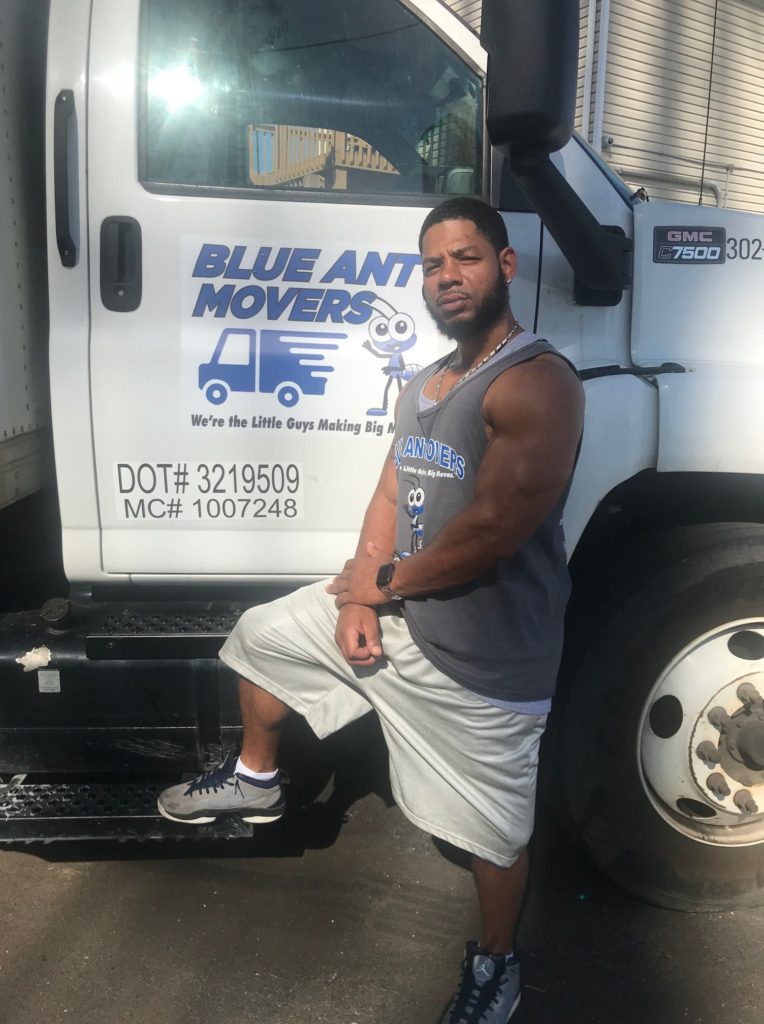 Blue Ant Movers