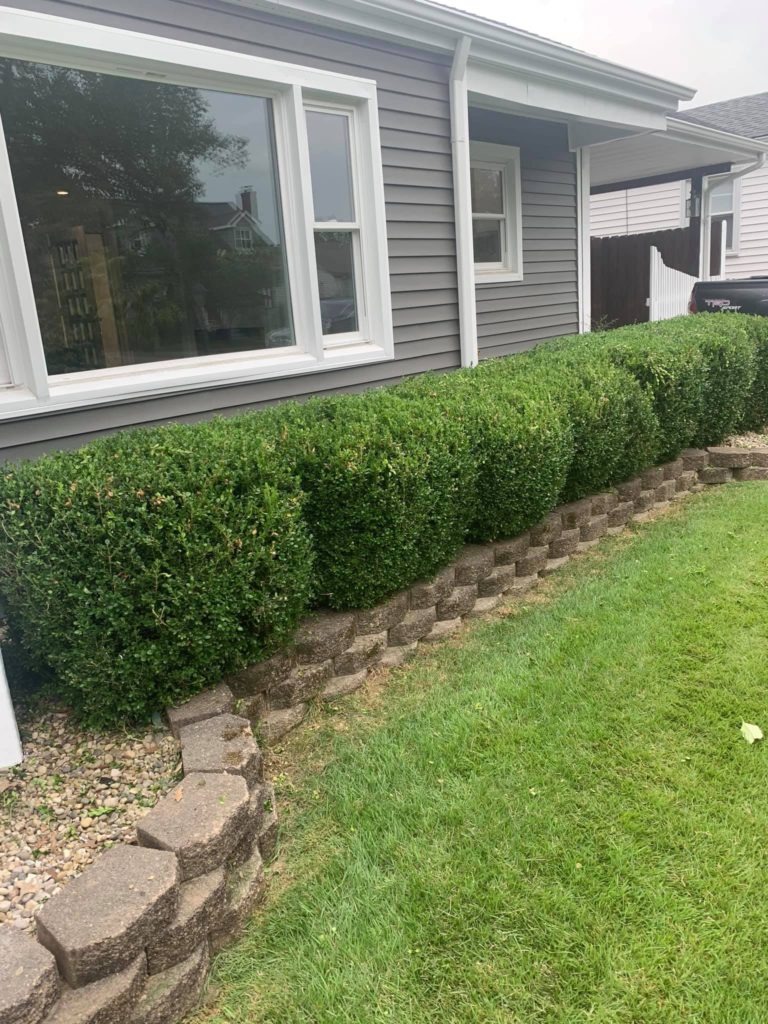 West and Sons Lawn Care